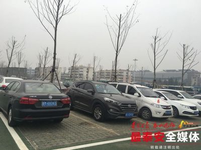 泰安春節(jié)期間生態(tài)停車場(chǎng)暖心服務(wù)獲游客點(diǎn)贊